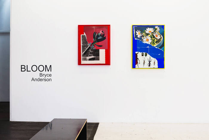 Bloom – Bryce Anderson at China Heights 4