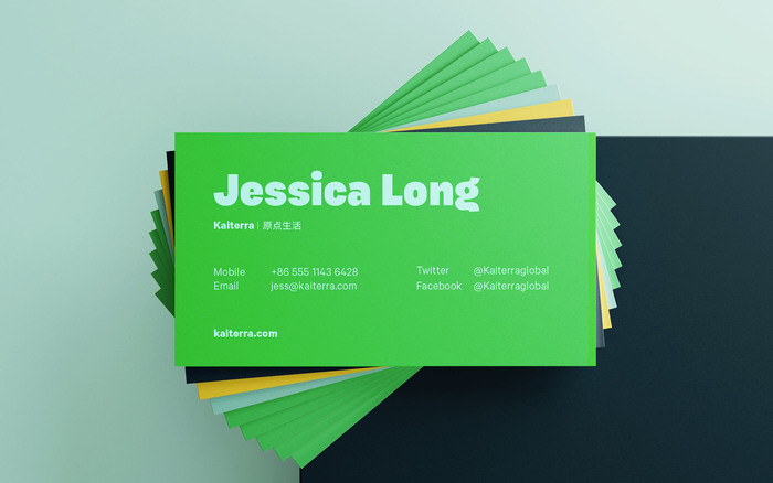 Kaiterra branding 3