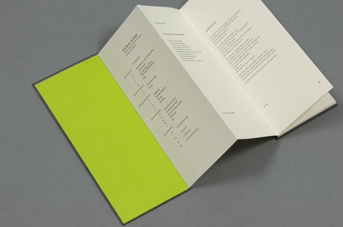Feathers &amp; Lime 2
