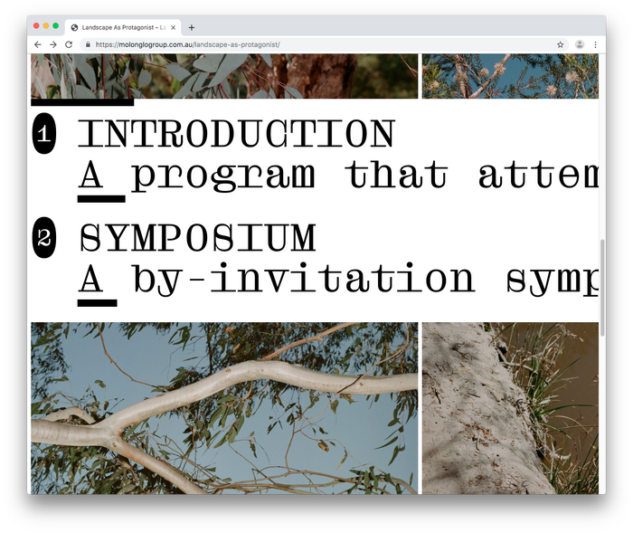 Landscape as Protagonist 5