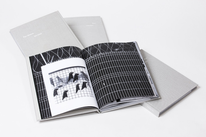Pāri mūriem – Jérémie Jung 6