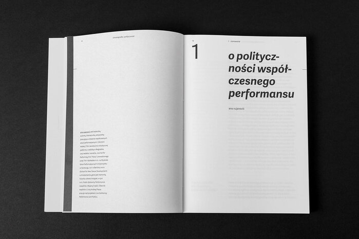 Choreografia: polityczność 3