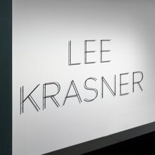 <cite>Lee Krasner: Living Colour</cite>