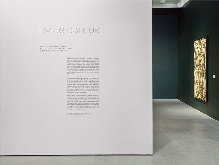 Lee Krasner: Living Colour 3