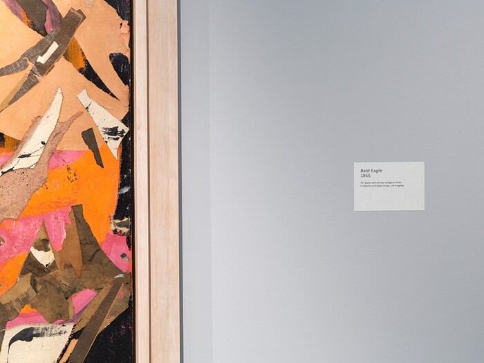Lee Krasner: Living Colour 5