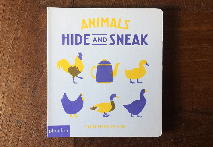 Undercover and Hide and Sneak book series 4