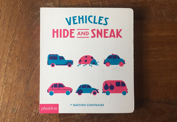 Undercover and Hide and Sneak book series 5