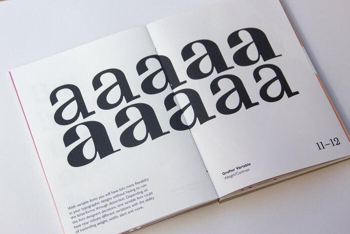 Variable Type. An Introduction into the Future of Type 2