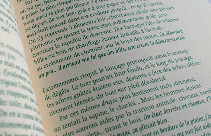 Forêts en Trièves 2