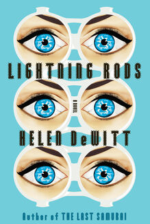 <cite>Lightning Rods</cite> by Helen DeWitt