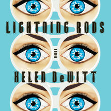 <cite>Lightning Rods</cite> by Helen DeWitt