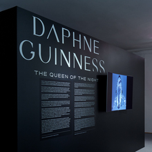 <cite><span>Daphne Guinness: The Queen of the Night</span></cite>