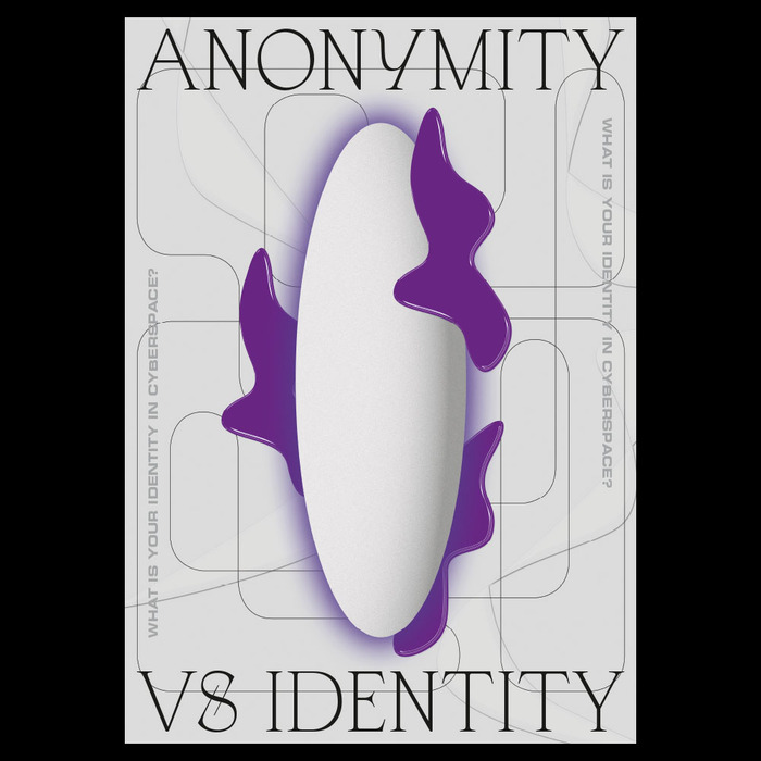 Anonymity in Cyberspace 2