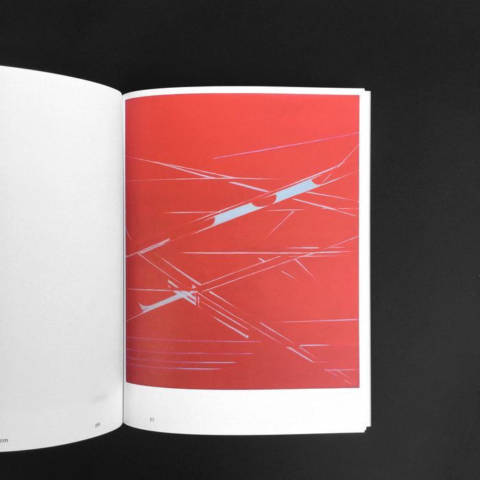 Panta Rei – Titina Maselli with an intervention by Flavio Favelli 6