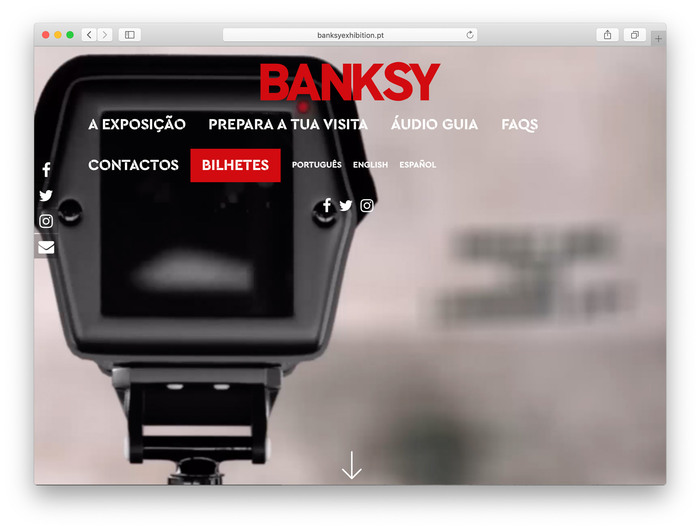 Banksy: Genius or Vandal? 2