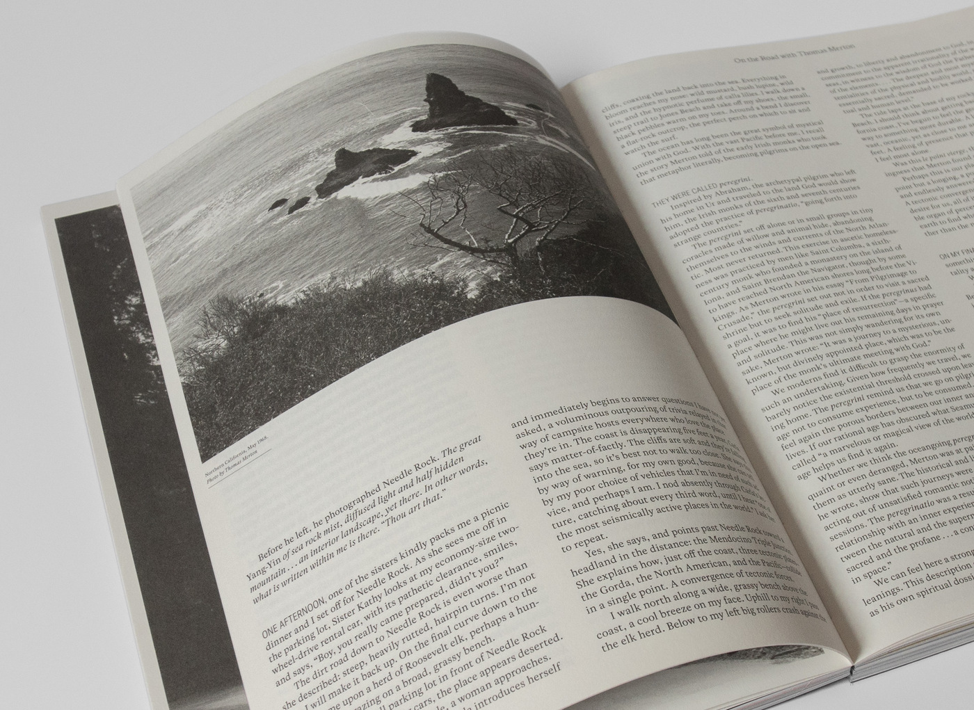 Emergence Magazine Vol. 1, 2019