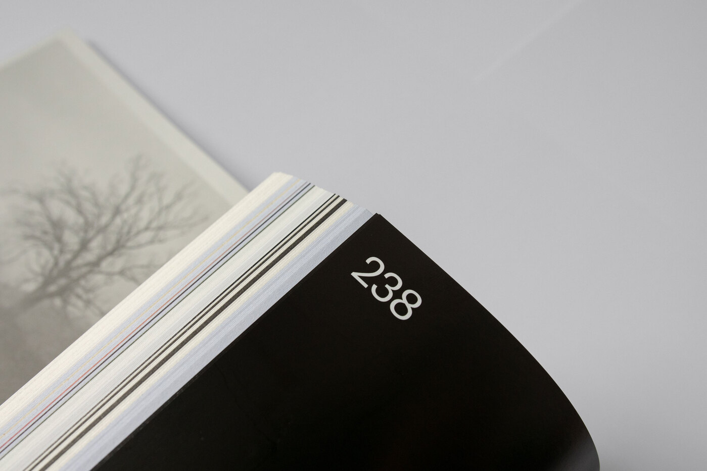 Emergence Magazine Vol. 1, 2019