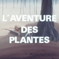 La prodigieuse aventure des plantes (1981), L&rsquo;Aventure des plantes (1982) 6