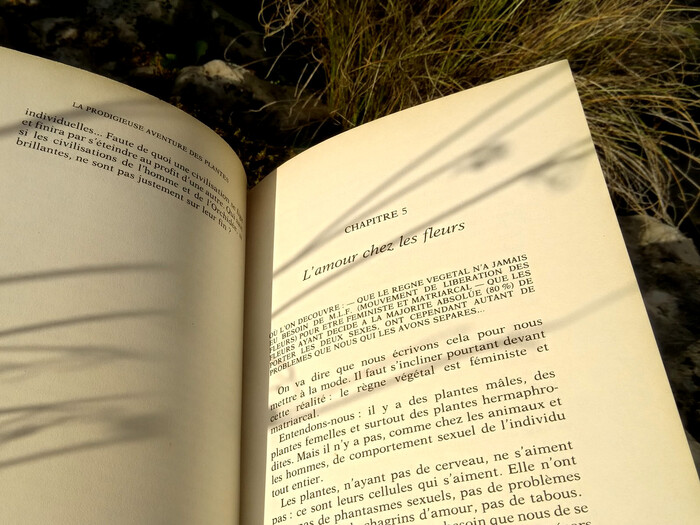 The book interior is set in Aster.