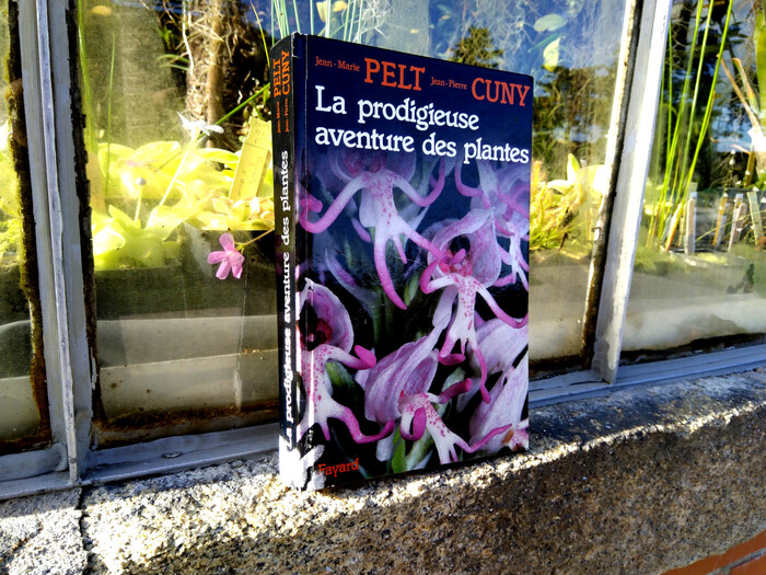 &ldquo;The amazing adventure of plants&rdquo;, in front of some plants.