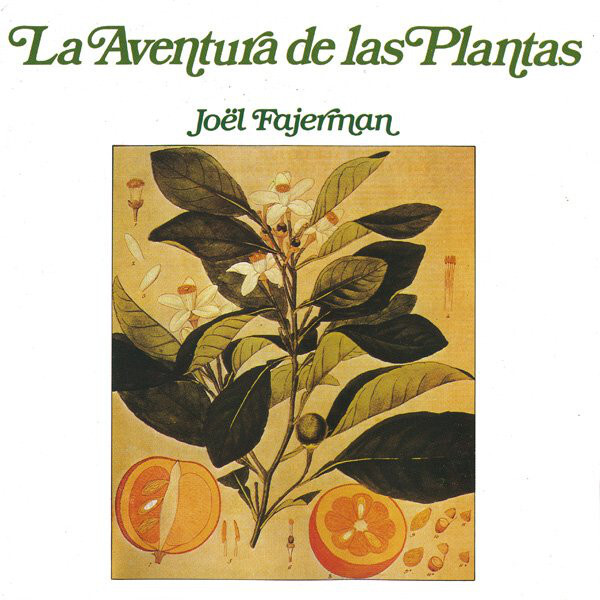 The Spanish version on RCA Records features an adaptation of the original French cover shown above. On this re-release from 1990, the line in Futura was removed. While the artist&rsquo;s name in ITC Bookman was maintained, the title uses a different version of Bookman, with slanted letterforms. The differences are most striking in the letters a or e.