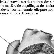 <cite>Traversée anatomique</cite>