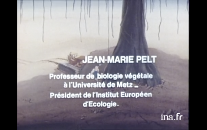 For some reason, the credits don&rsquo;t use Univers, but the similar Helvetica.