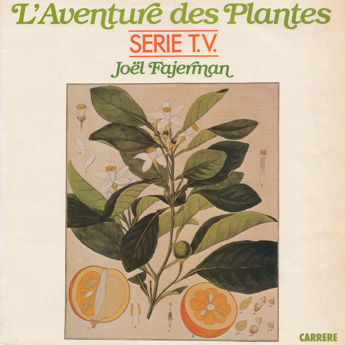 Album cover of the soundtrack as released by Carrere in 1982. The green lines are in ITC Bookman Italic with swashes. &ldquo;Serie T.V.&rdquo; is in Futura.