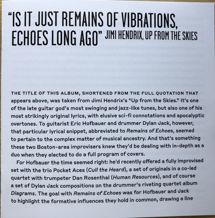 The liner notes by music historian David R. Adler use a gutsy, fresh pairing of Garage Gothic with Styrene&nbsp;B.