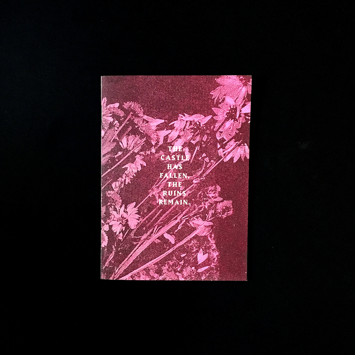 Castle Ruins II zine