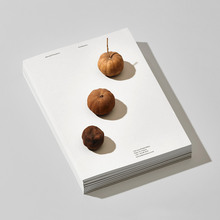 Barrault Pressacco identity