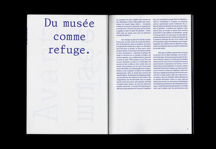 Avant le Musée, Musée des Beaux Arts de Strasbourg 8
