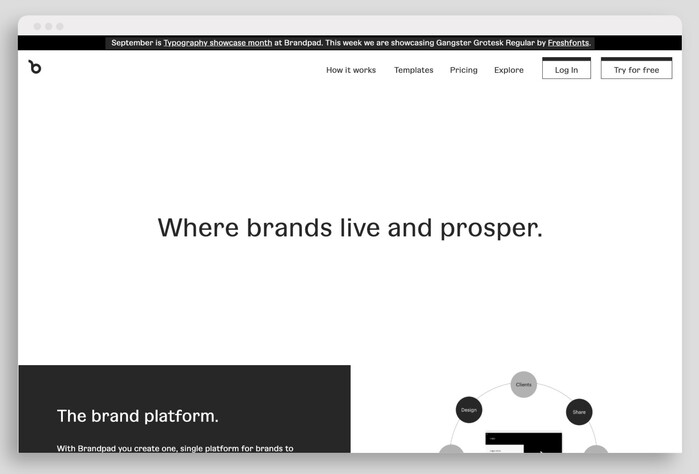 Brandpad’s website typeset in Gangster Grotesk (week one)