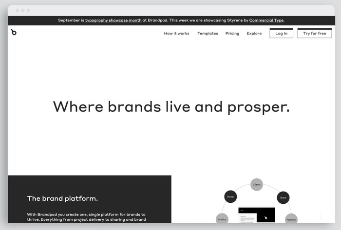 Brandpad’s website typeset in Styrene (week two)
