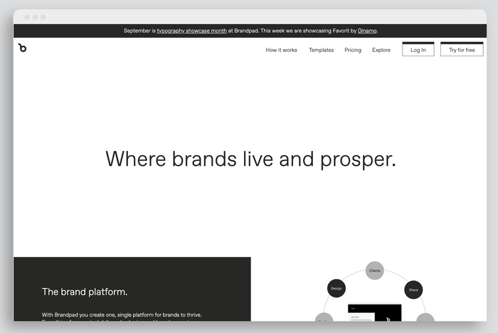 Brandpad’s website typeset in Favorit (week four)