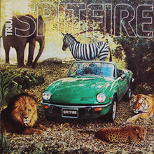 Triumph Automobile Ads (1977–80)